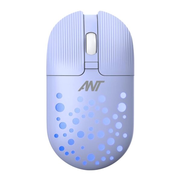 Ant Value FKAPU05 Wireless Mouse