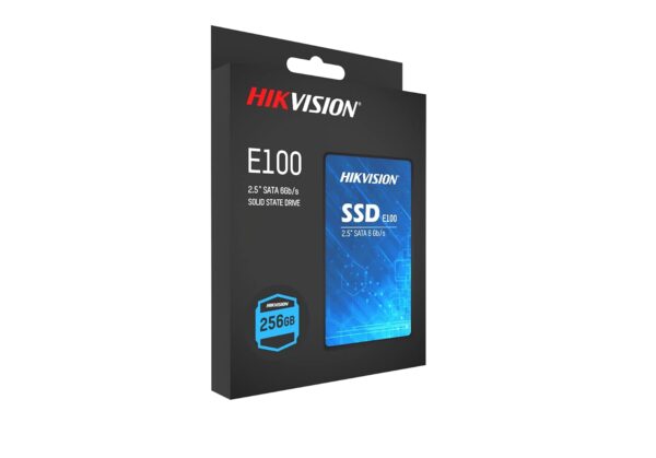 HIKVISION E100 256GB