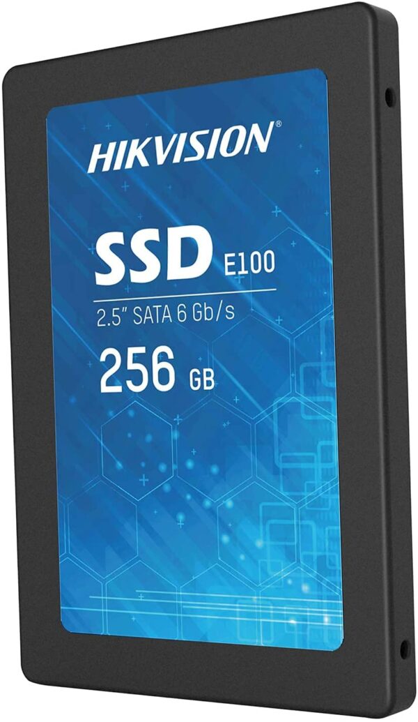 HIKVISION E100 256GB